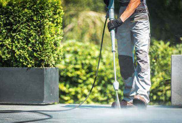 Best Soft Washing  in Atco, NJ